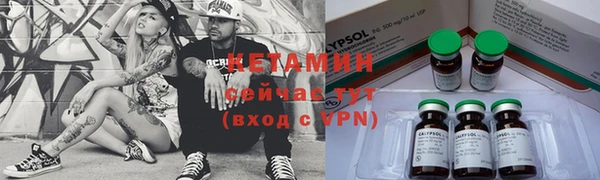 дурь Бородино
