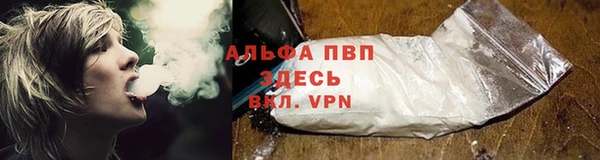 дурь Бородино