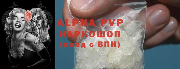 стаф Богданович