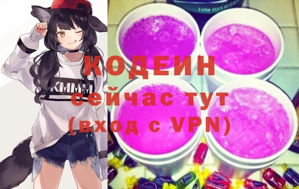 дурь Бородино