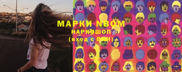 стаф Богданович