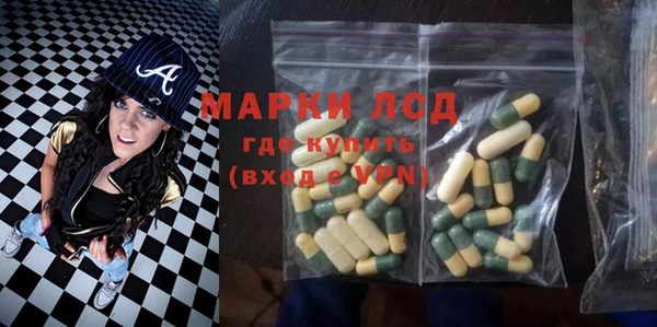 дурь Бородино