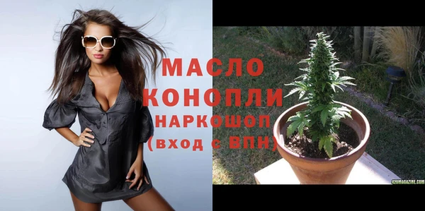 стаф Богданович