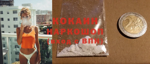 стаф Богданович