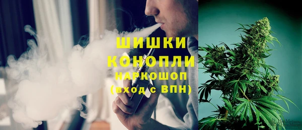 стаф Богданович