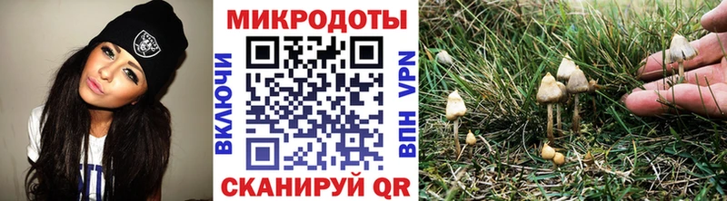 хочу мега вход Псилоцибиновые грибы Magic Shrooms Воркута